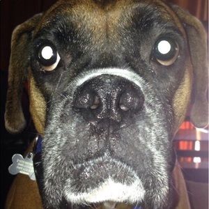 Meet your Posher, Shane